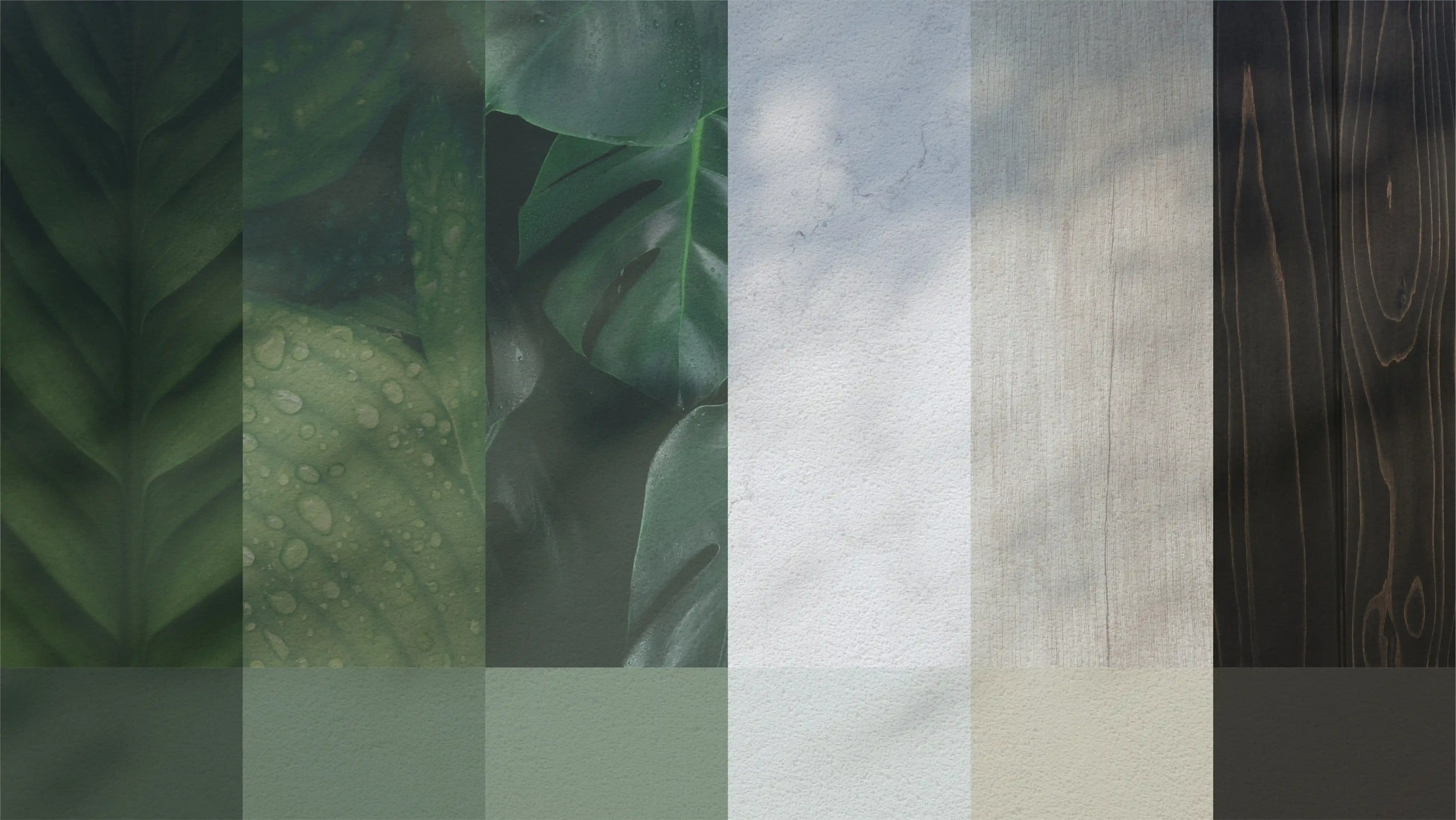 Dew Drops colour palette of greens, white and dark wood with leaf and sky textures