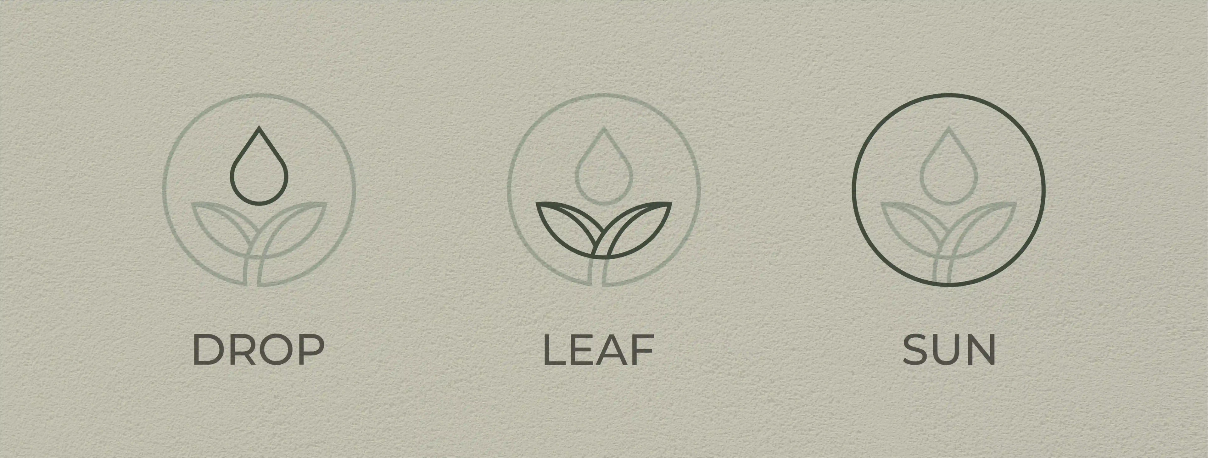 Dew Drops logo elements: drop, leaf and sun