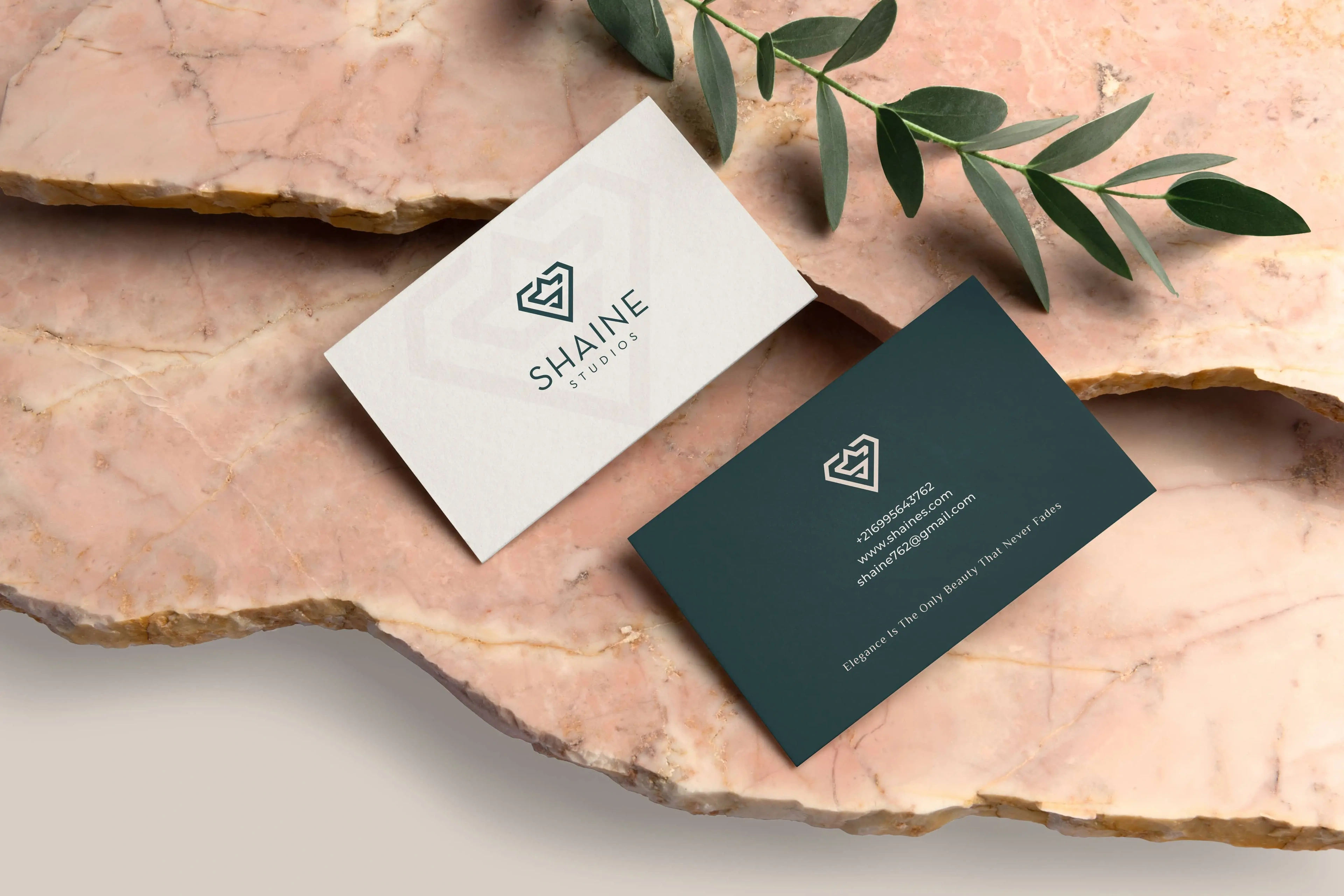 Shaine Studios white and green business cards on pink marble with olive leaves